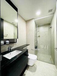 Park Colonial (D13), Condominium #497805271